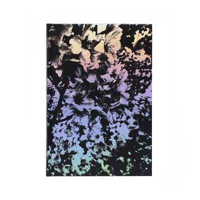 Daido Moriyama: Ango（英語版） - 森山大道 | shashasha 写々者