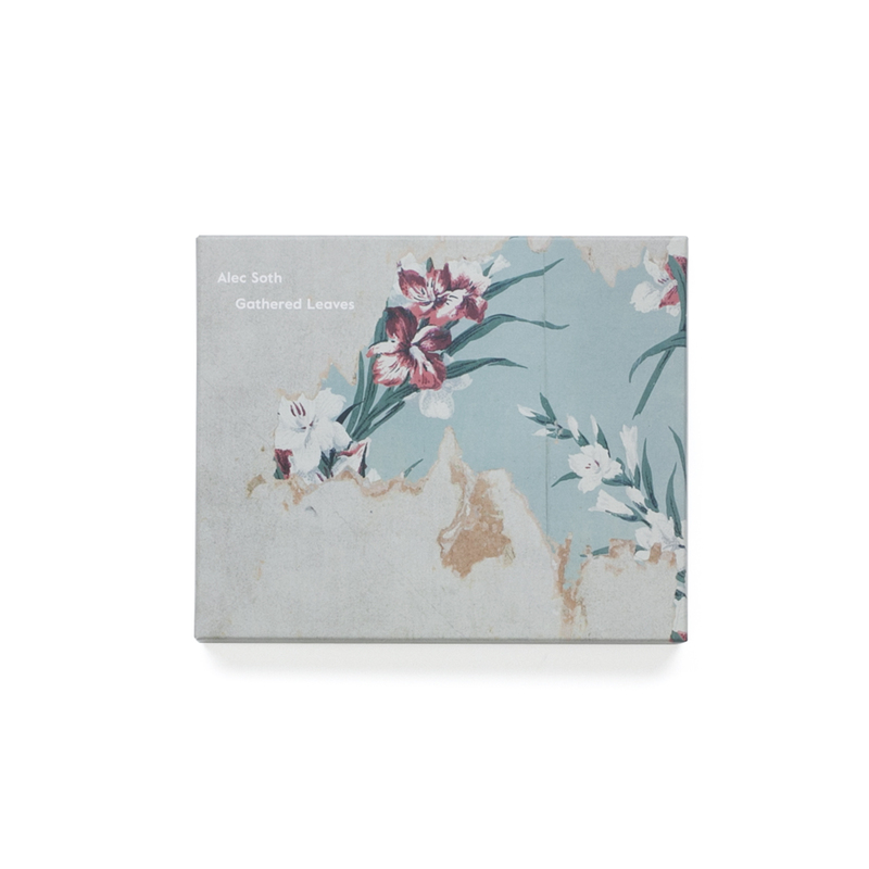 Gathered Leaves Postcards - Alec SOTH | shashasha - Photography