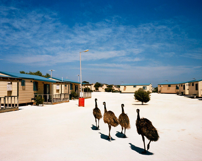 Trent PARKE - トレント・パーク | shashasha - Photography & art in
