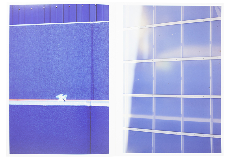 this year's model - 伊丹豪 | shashasha 写々者 - 写真集とアートブック