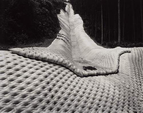 Toshio SHIBATA - 柴田敏雄 | shashasha - Photography & art in books