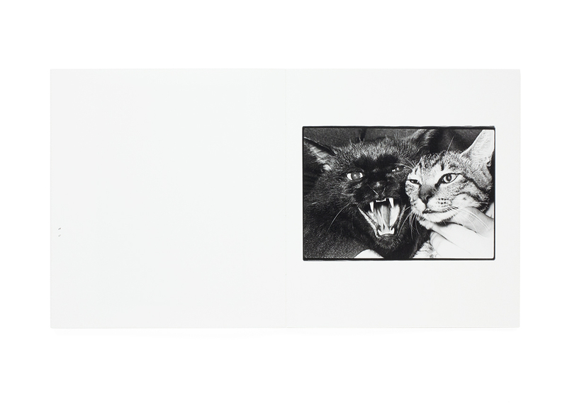 Wonderful Days - 深瀬昌久 | shashasha 写々者 - 写真集とアートブック