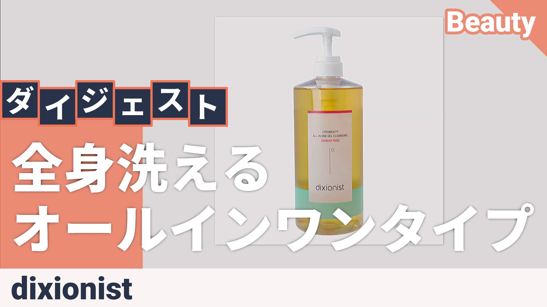 ディクショニストオールインワンクレンジング1000ml ディクショニスト