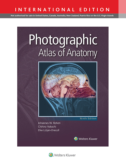 Netter Atlas of Human Anatomy, 8th ed. - Classic Regional Approach