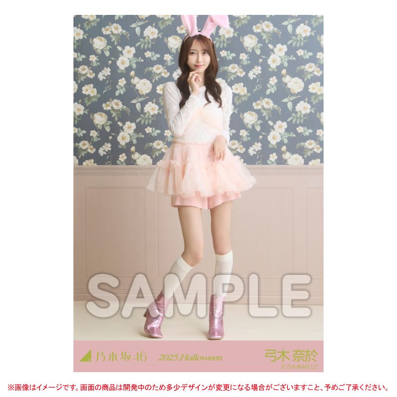 乃木坂46 OFFICIAL WEB SHOP | 乃木坂46 グッズ通販サイト