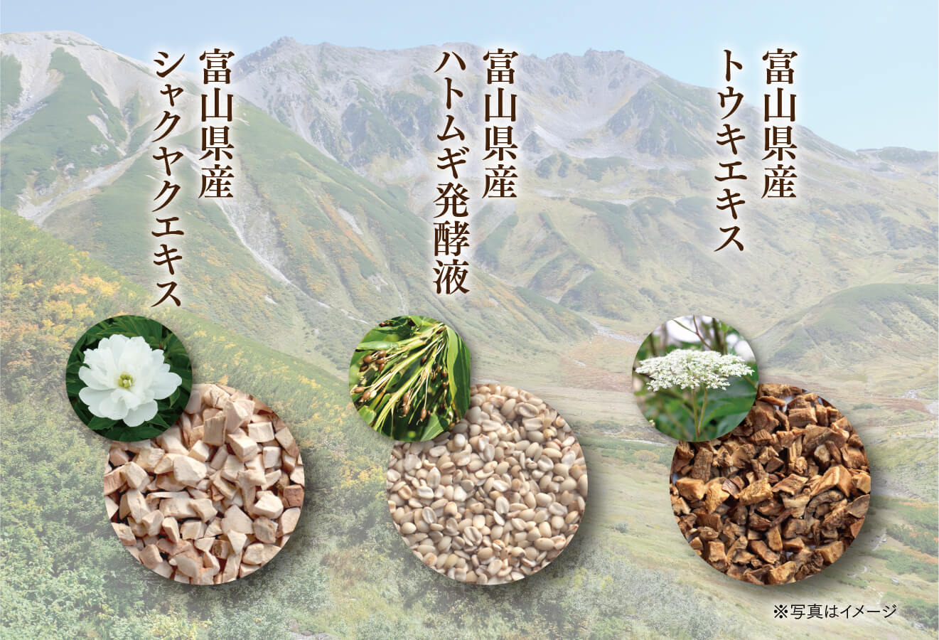 キミエリンクルホワイトプレミアム｜富山常備薬【公式通販】