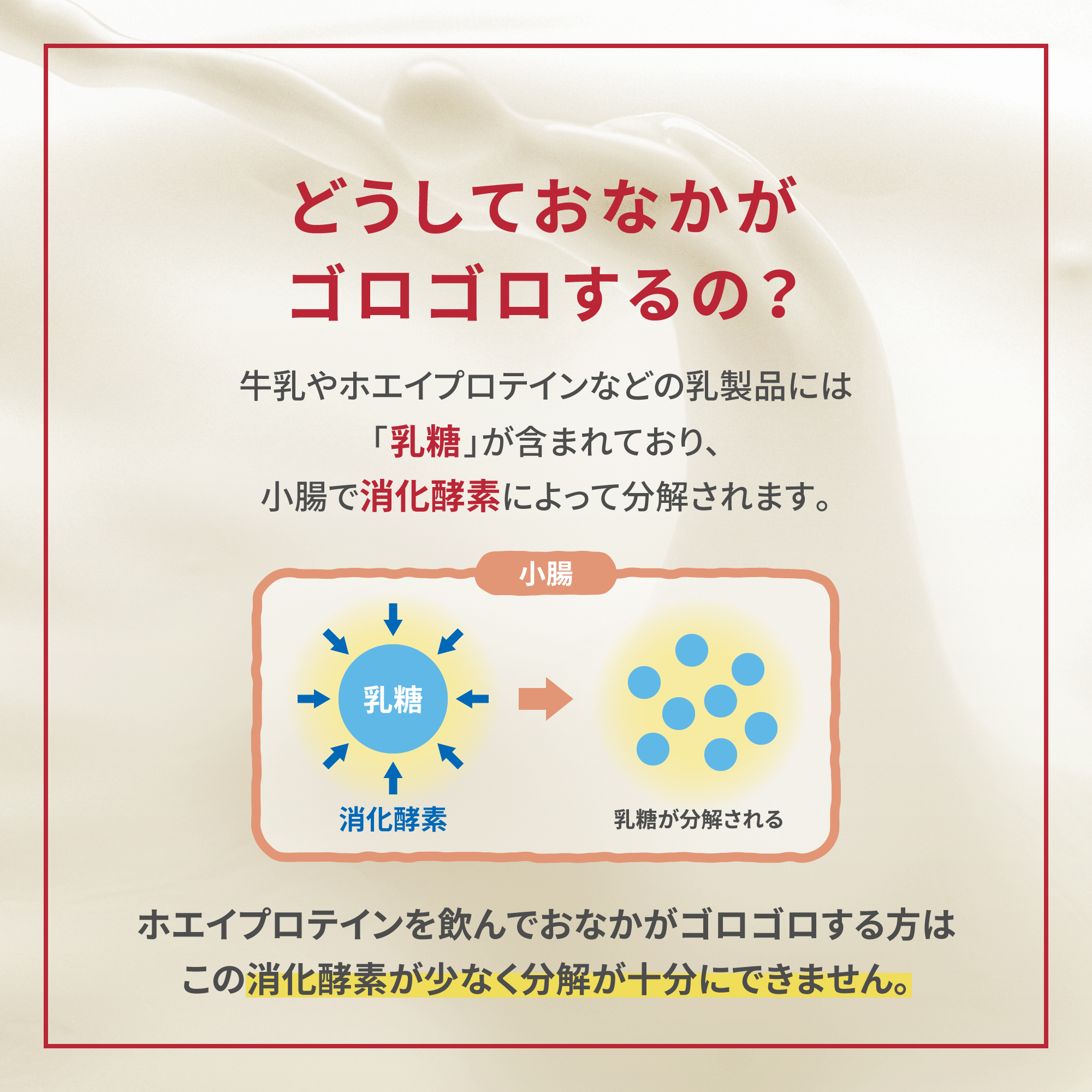 日本新薬ヘルスケア公式ショップ｜WINZONE おなかにやさしいホエイ