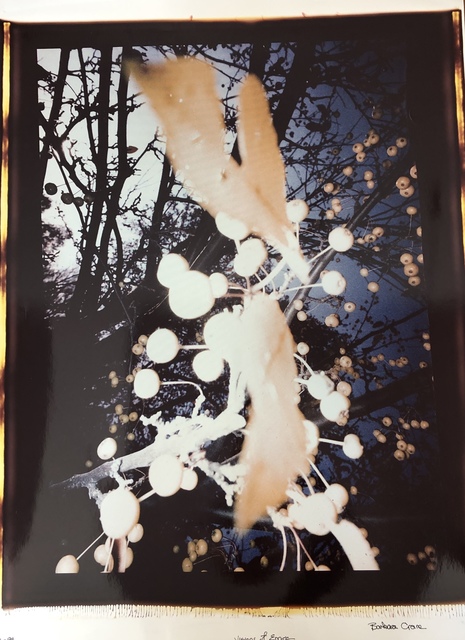 Barbara Crane - Art & Prints for Sale | Artsy