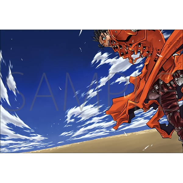 トライガン・マキシマム 額装ピンズセット ヤングキングNEO【受注生産