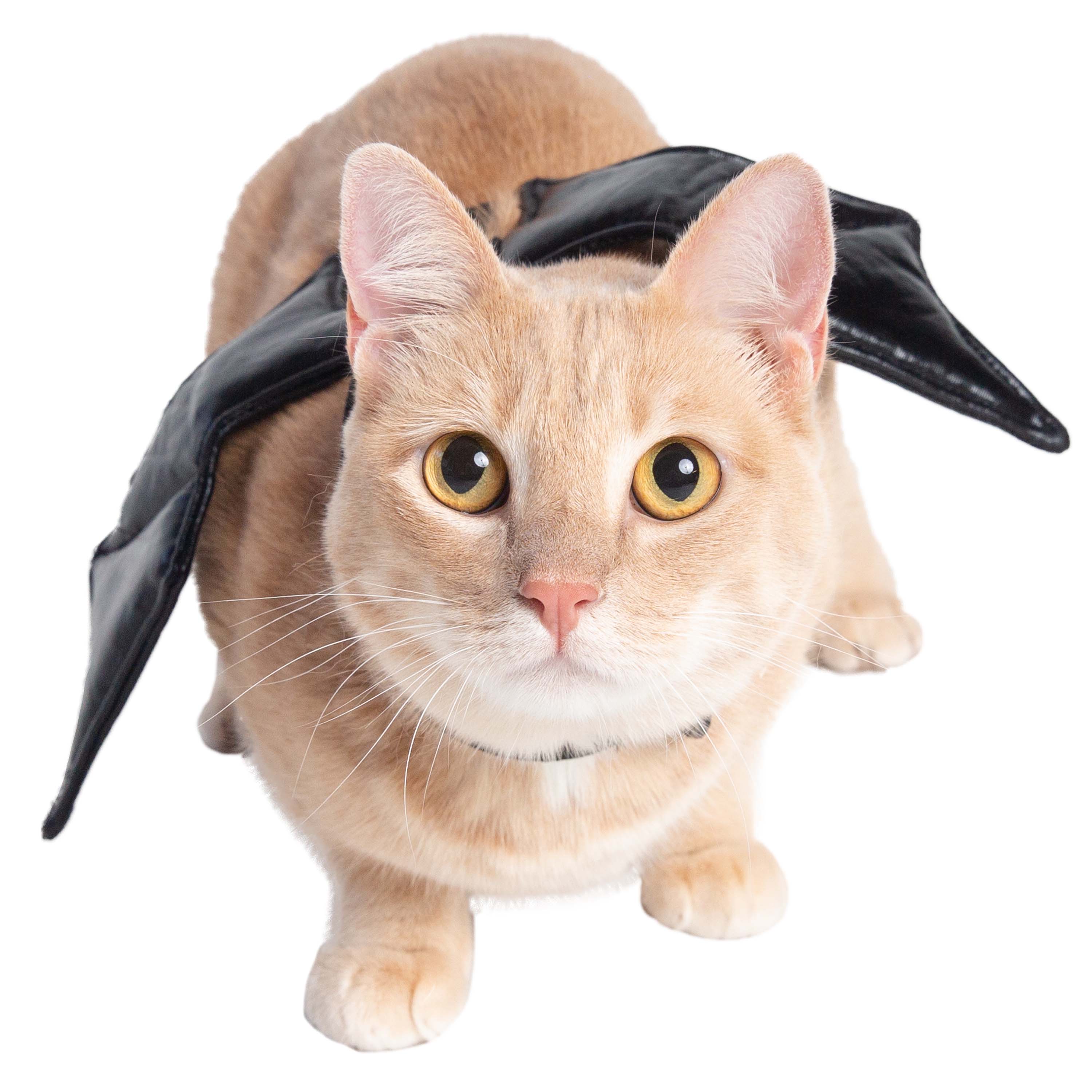 Cat Bat Wing Harness