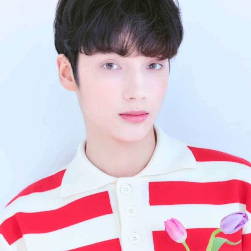 TXT ヒュニンカイ デビューときっかけ - DANMEE ダンミ