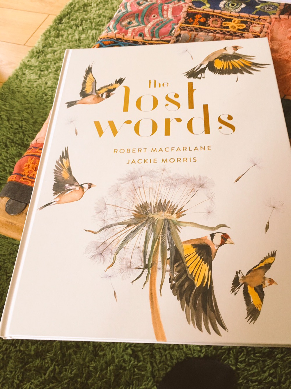 The Lost Words by Robert MacFarlane & Jackie Morris - a review