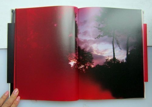 Abandom Reverie' ” | Mark Borthwick | First Edition