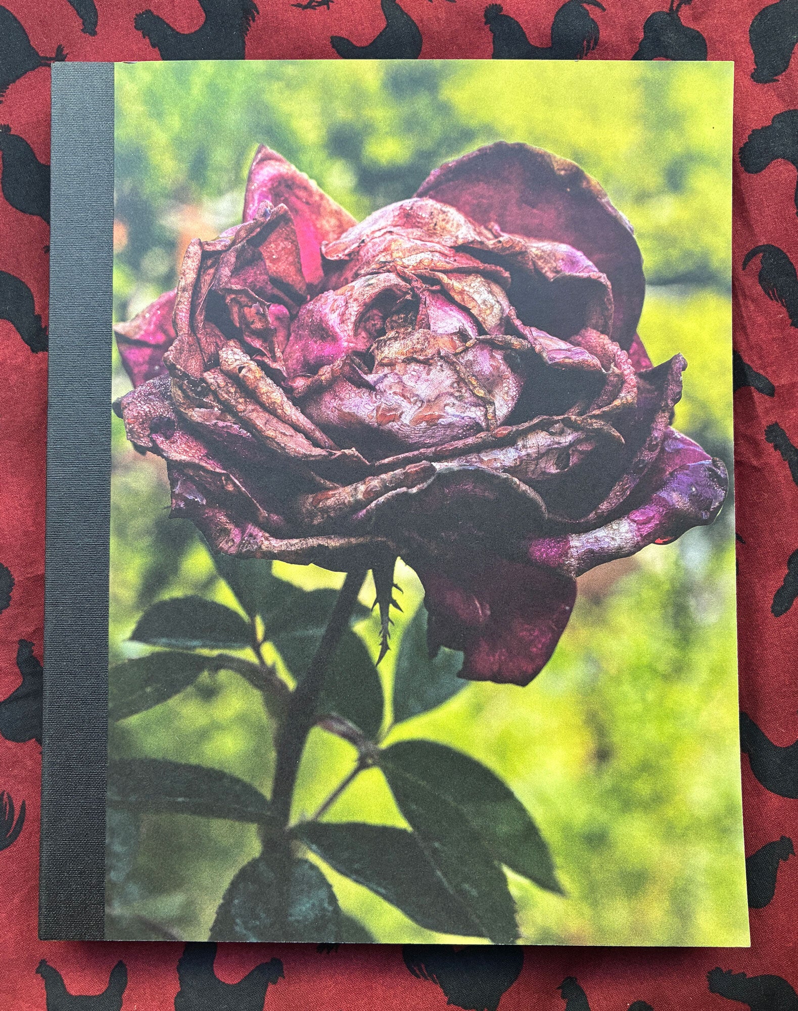 All-American XXV : Let in the Light SIGNED | Bruce Weber | 1,000