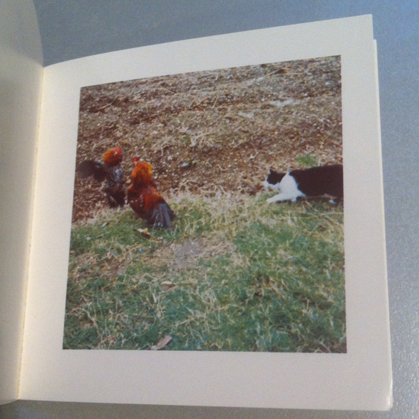 Künstlerbuch | Artists' book: Sol LeWitt. Cock Fight Dance, 1980