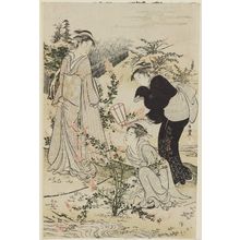 窪俊満による浮世絵「The Six Jewel Rivers (Mu Tamagawa)」