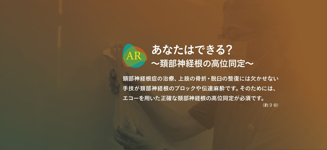 運動器エコーのメタ診療｜動画ライブラリ