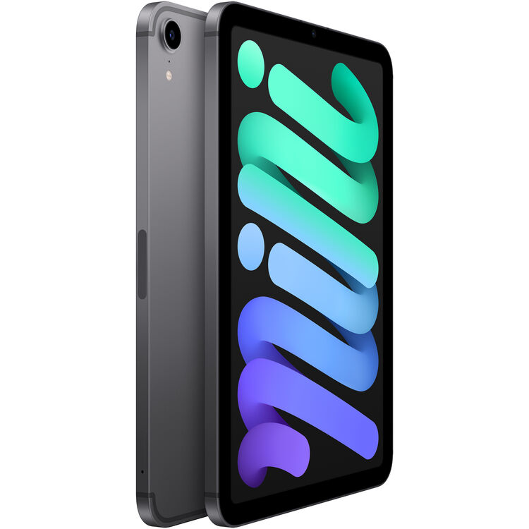 Apple iPad mini Wi-Fi + Cellular 64GB - Space Gray (6th Gen)