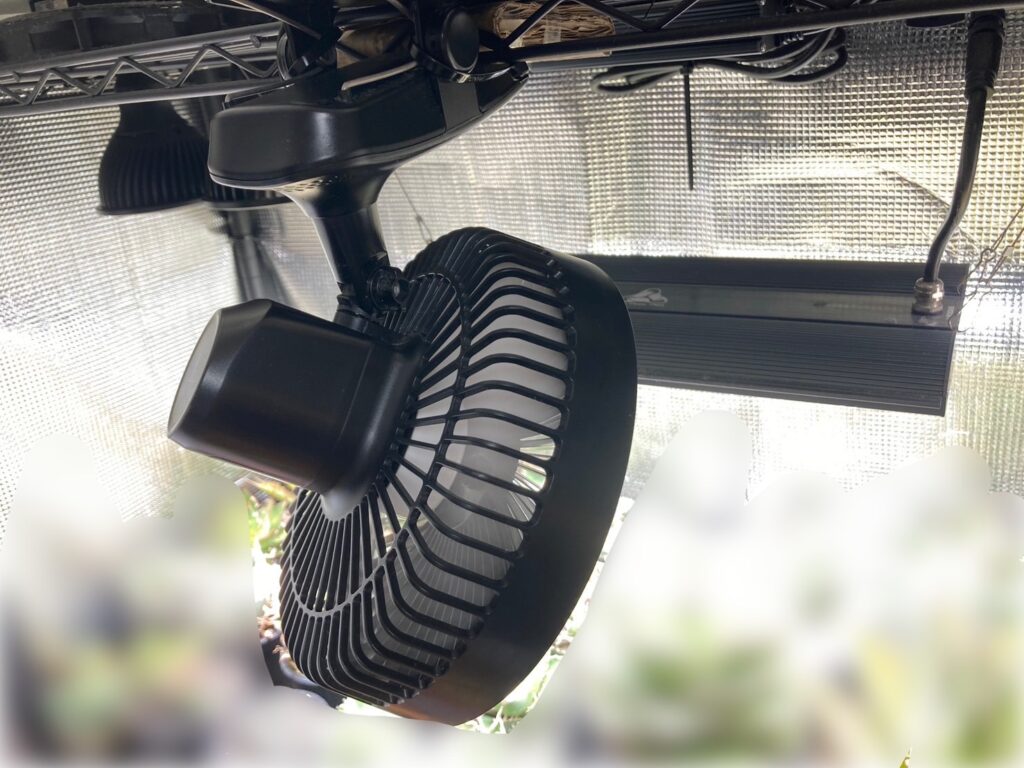 サーキュレーター アガベ】あのKeyniceで育成環境を激変させるべし