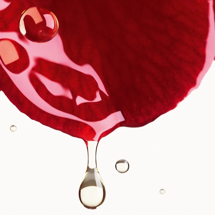 N°1 ドゥ シャネル スキンケア デュオ S（特別限定品）:CHANEL