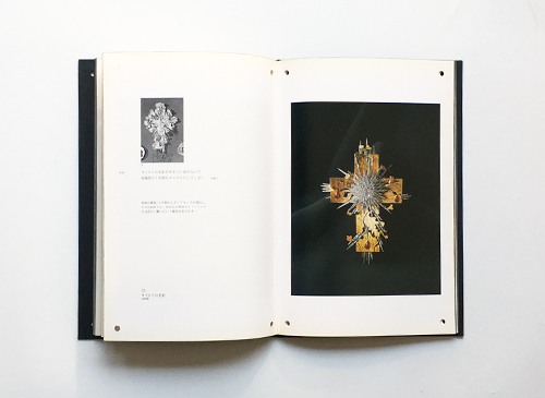 古書古本 dessin：Dali: Art-in-Jewels 奇蹟のダリ宝石展