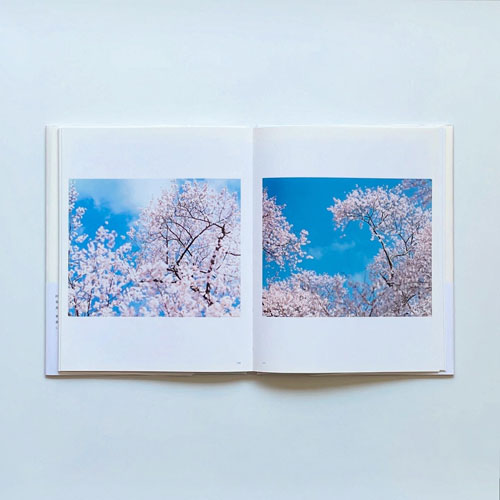 古書古本 dessin：鈴木理策 熊野、雪、桜（淡交社）