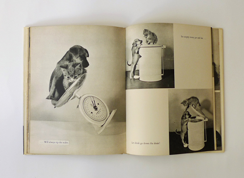 古書古本 dessin: CAT'S CRADLE（Ron Spillman,Jack Ramsay,Paul Dehn