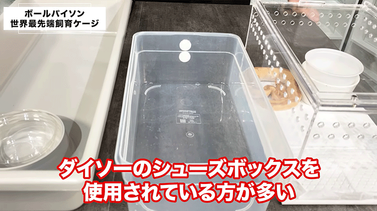 ボールパイソン タブ ラック 13個 ボールパイソン タブ ラック 13個