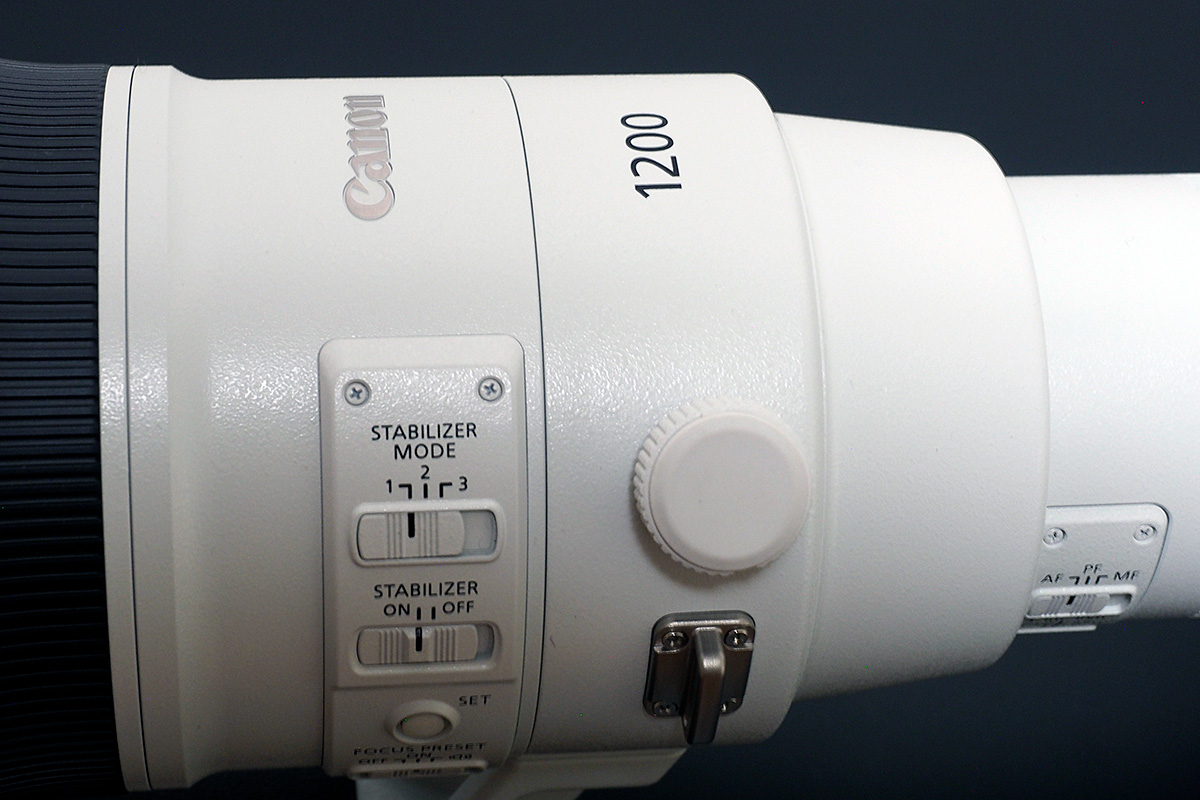 オオタカとカワセミを激写！ニコン「Z9」＋800mm VS キヤノン「EOS R3