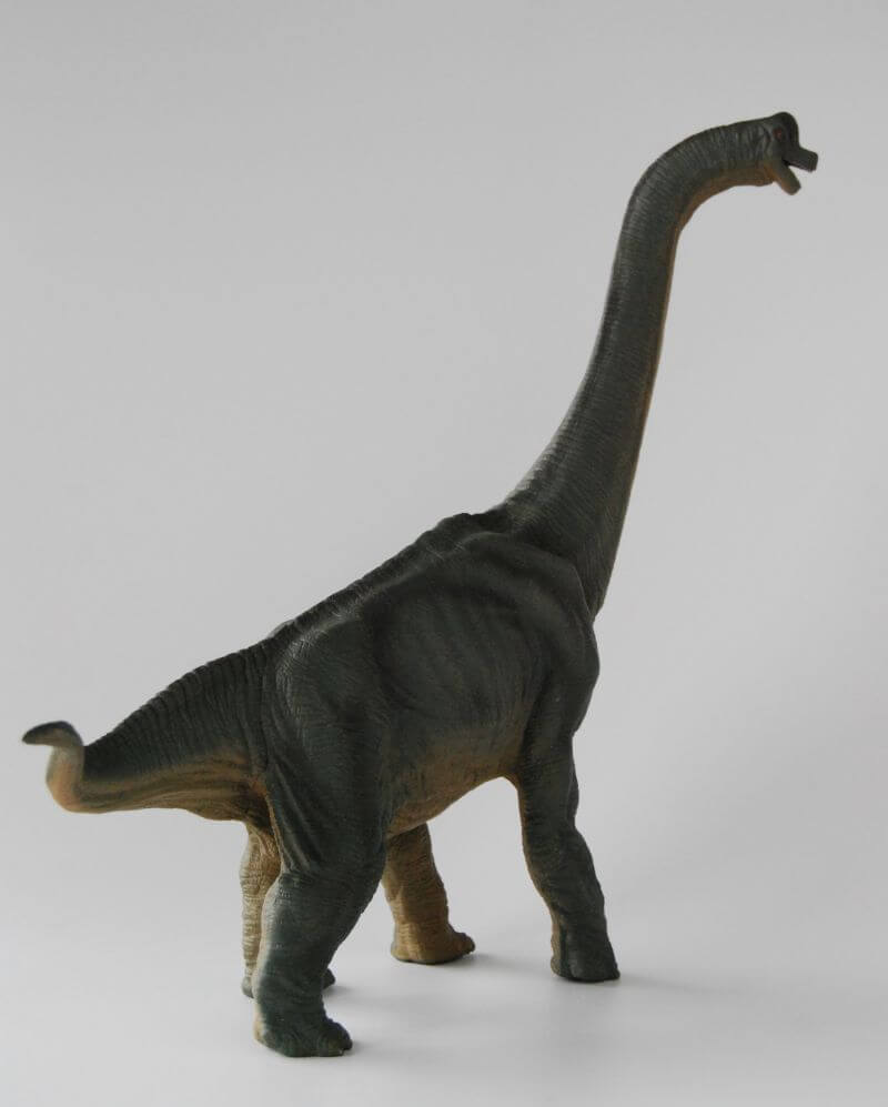大人の恐竜模型館ーブラキオサウルス（Papo）レビュー | 大人の恐竜模型館