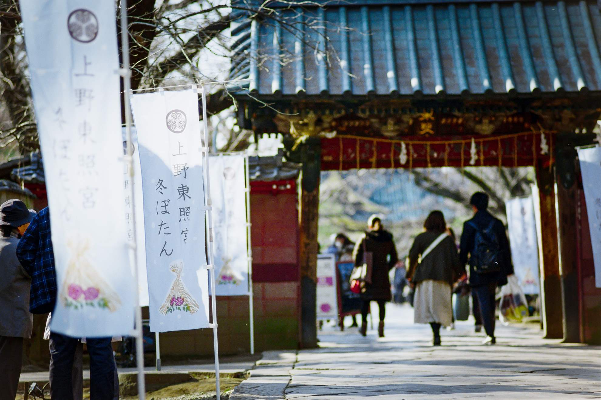 CONTAX Carl Zeiss Sonnar T* 135 F2.8 AEJ ◇レビュー◇ | デジタル