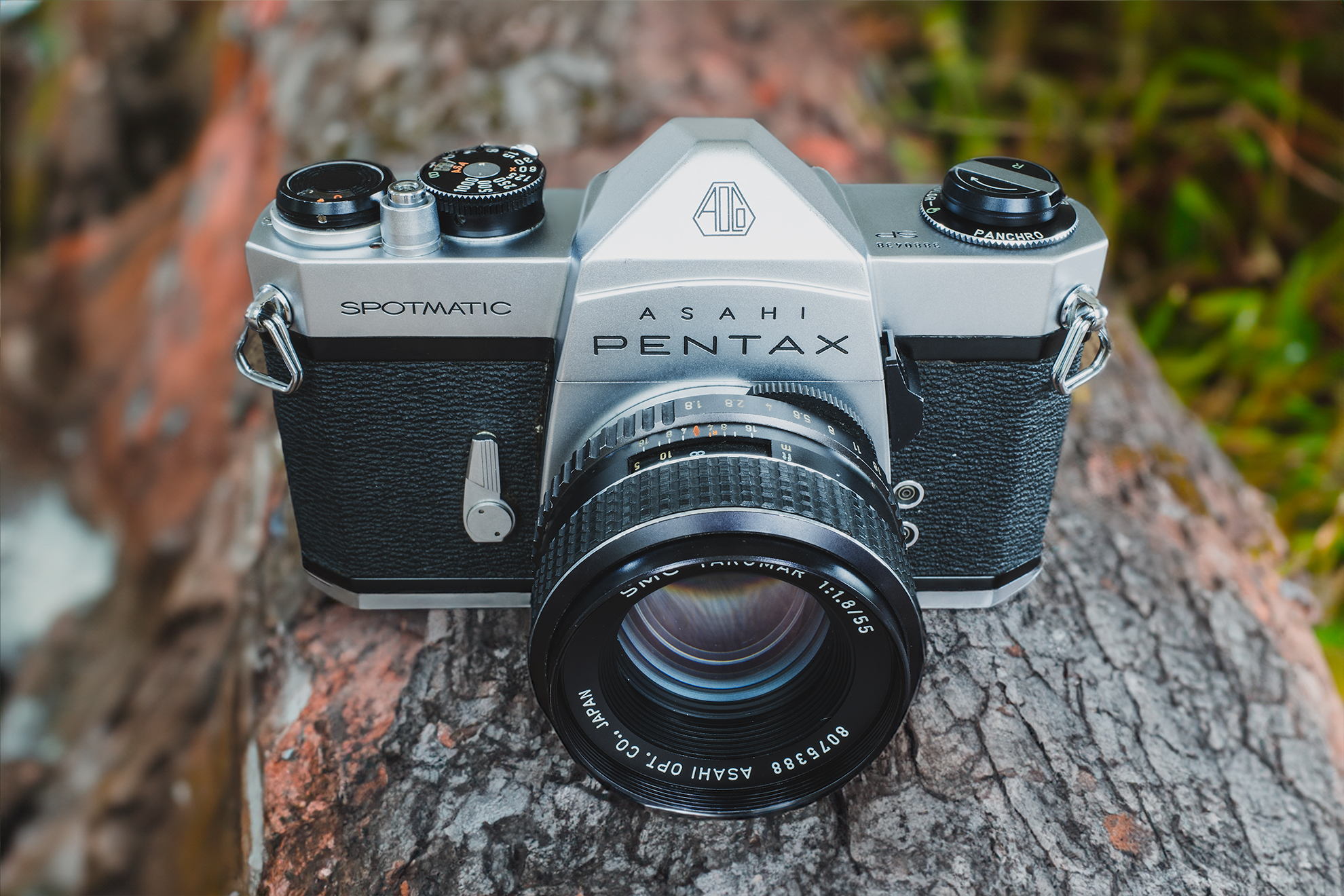 PENTAX SPOTMATIC ◇ 実写編 Part.1 ◇ | デジタル試しうち