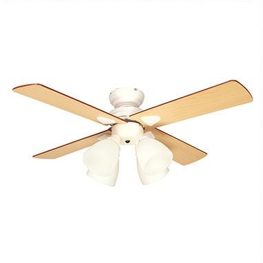 BIG-101 plusmore(プラスモア) シーリングファン Windouble 4灯