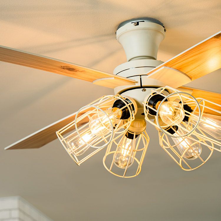 保証5年】JE-CF048 JAVALO ELF(ジャバロエルフ) Modern Collection