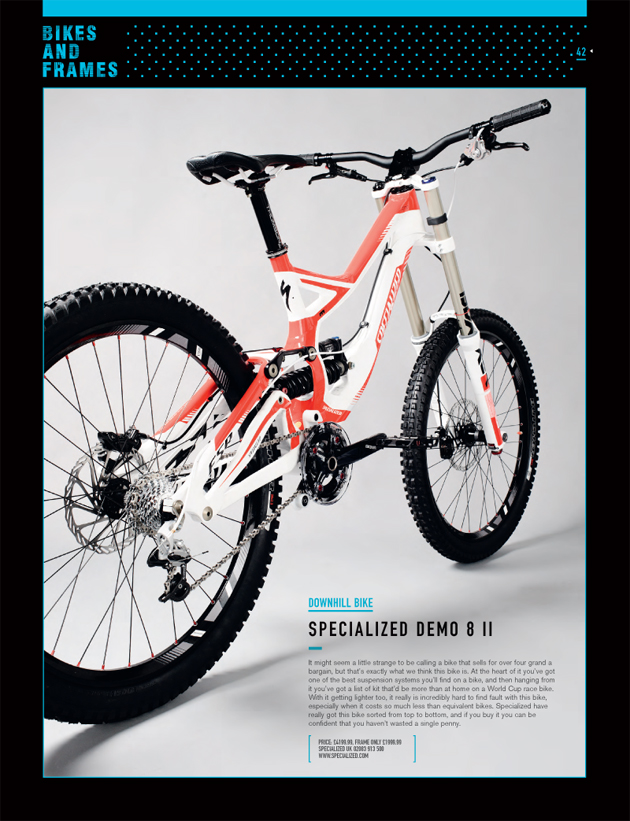 Dirt 100 2011:Specialized Demo 8 II |