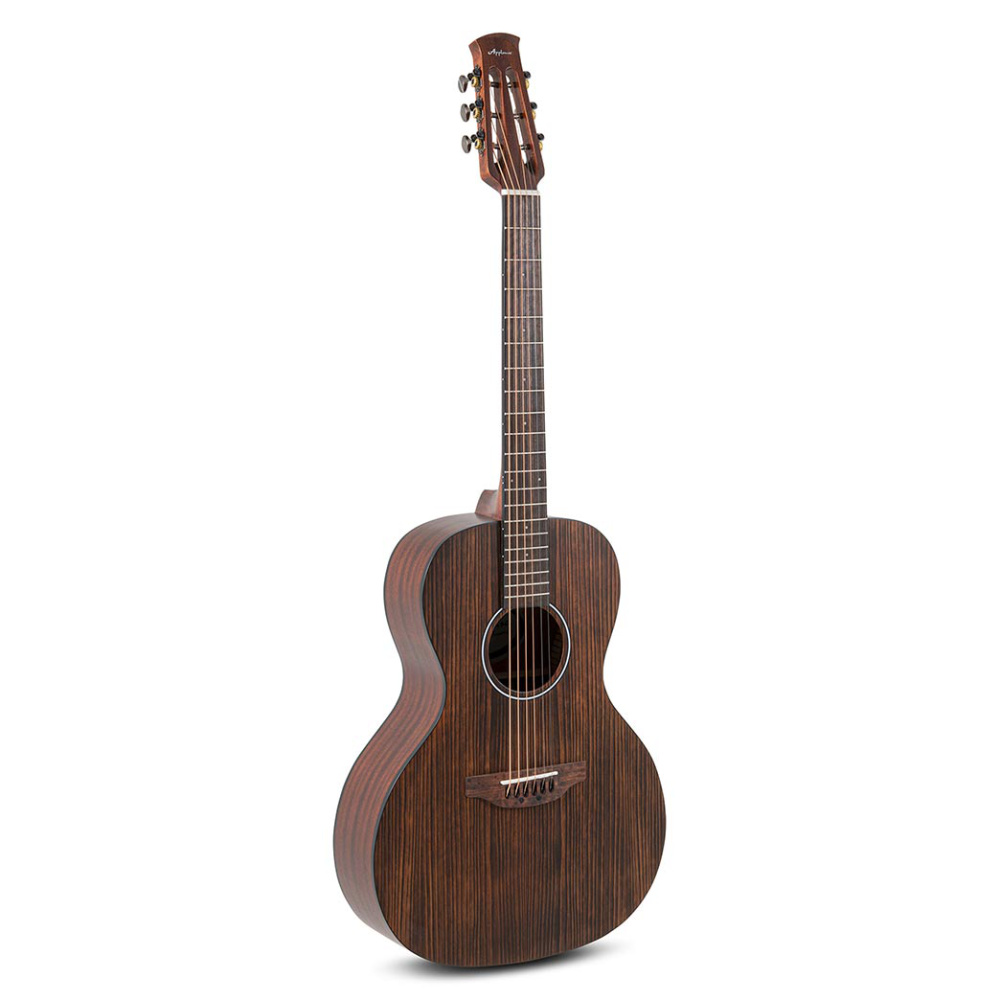 OVATION Applause からWood Clasicsシリーズのアコギ登場