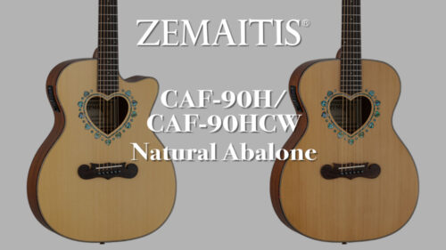 ARIAよりFホールを採用したエレアコ「FET-F2 BnG」が発売！