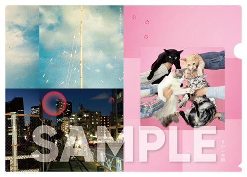 猫とアレルギー」「愛のゆくえ」「タイム・ラプス」 きのこ帝国3