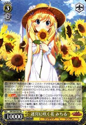 PSA10】迷宮に咲く花 一姫