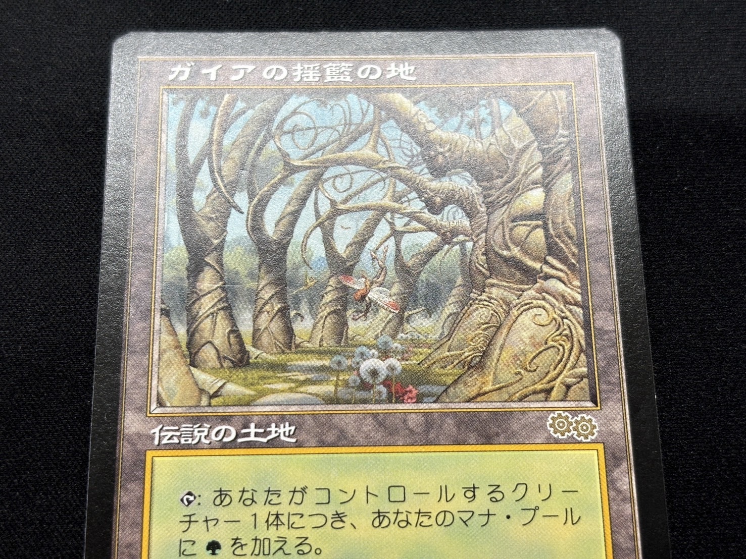ガイアの揺籃の地⁄日本語1枚 ガイアの揺籃の地 日本語 MTG ガイアの