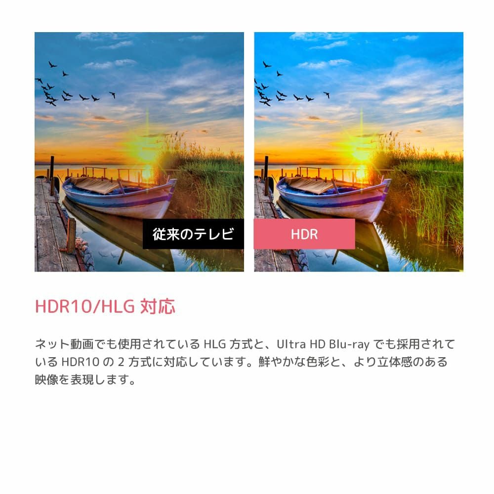 ORION(オリオン) スマートテレビ 55v型 チューナー内蔵（地上・BS・CS