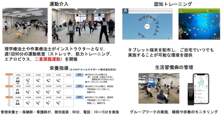 認知症予防のための運動主体の複合的な介入プログラム 高齢者の認知