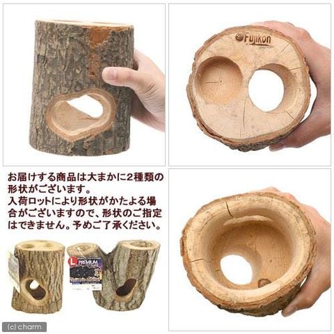 dショッピング |フジコン プレミアム インセクトシェルター L 昆虫