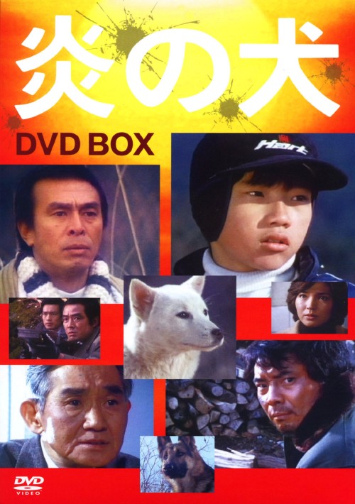 炎の犬 DVD-BOX/夏江麻岐【買取価格】｜ゲオの宅配買取