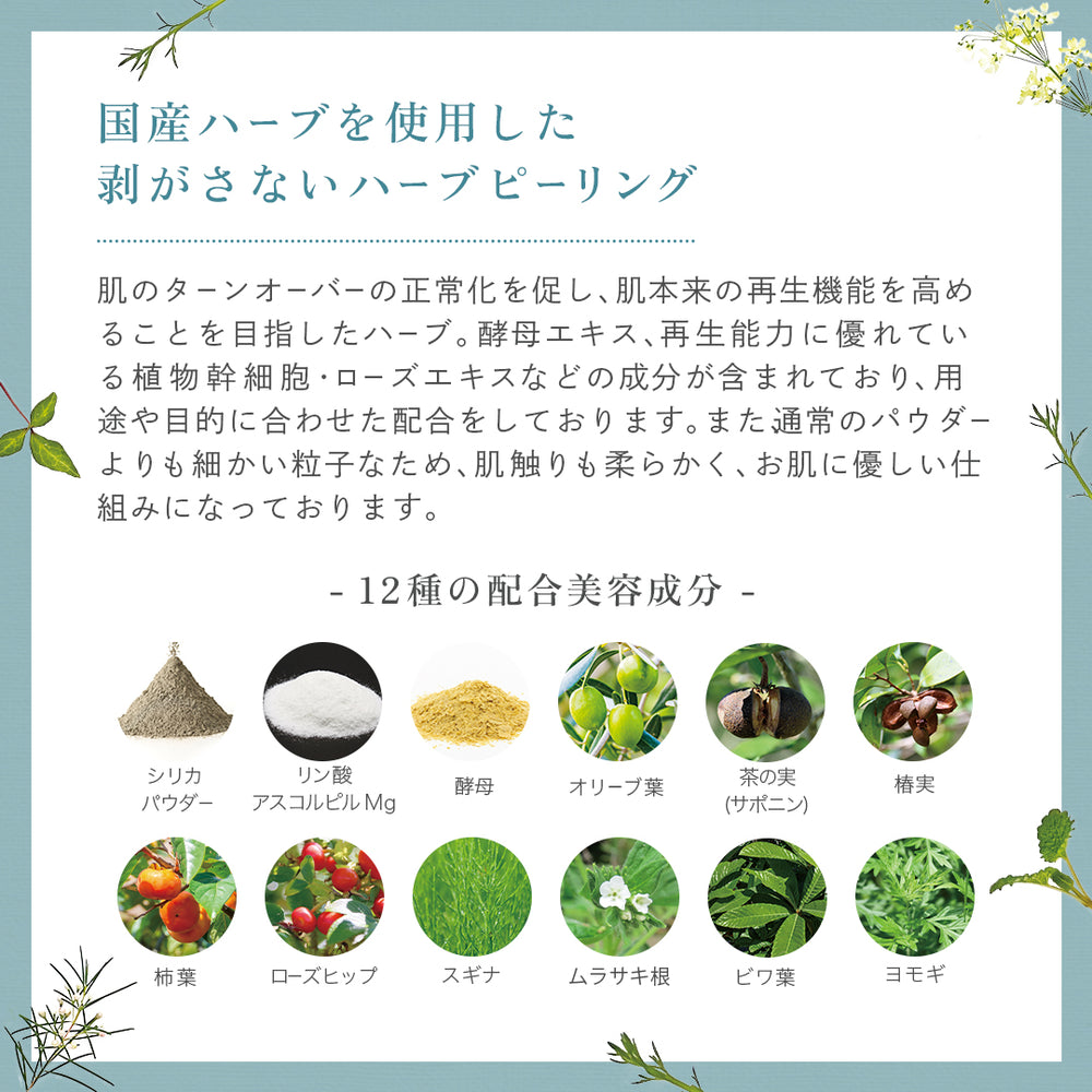 研修なし】プロノビセア ハーブピーリング初期導入セット