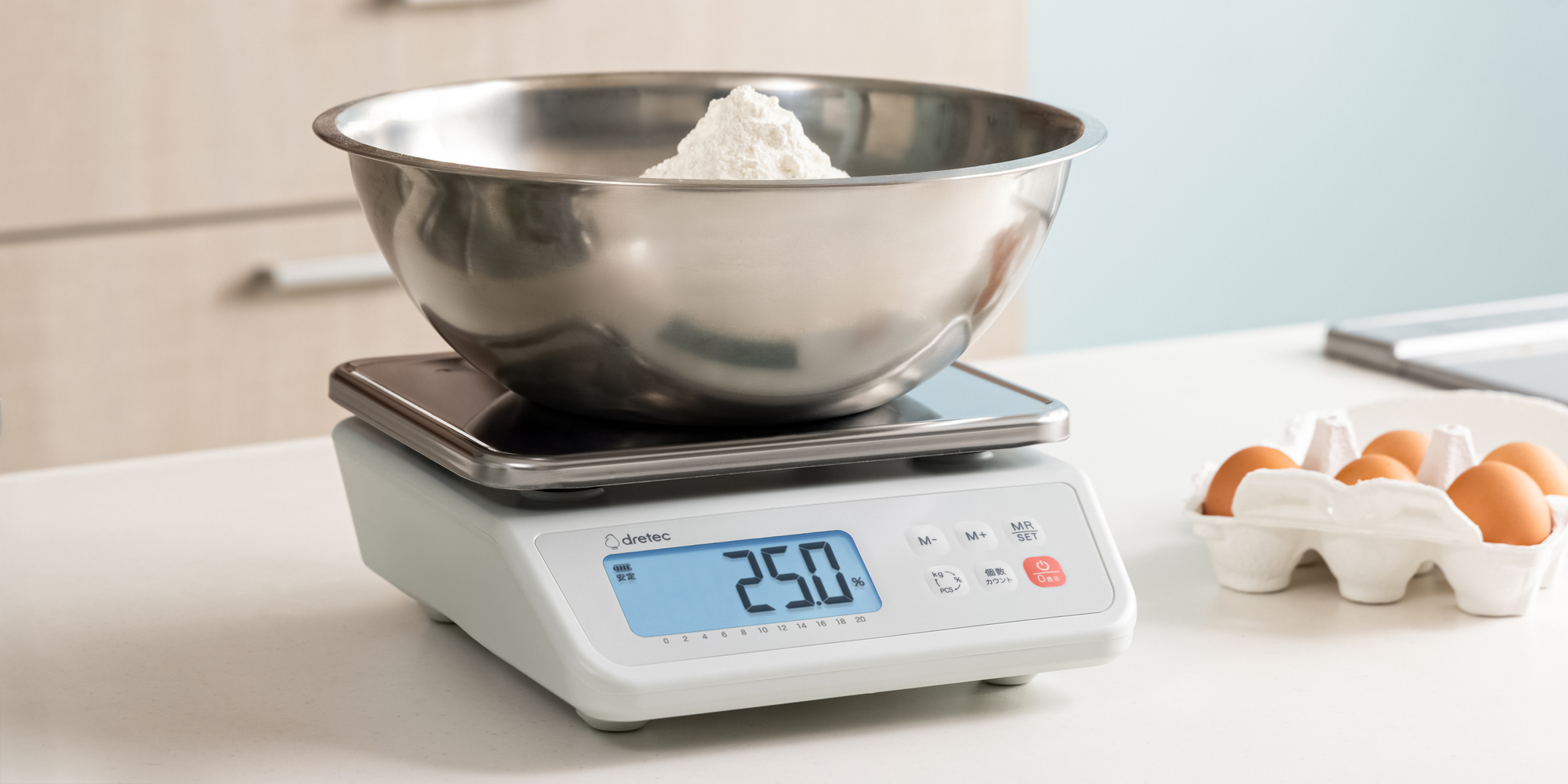 GS-521プロスケールプラス 20kg/10g - 株式会社ドリテック