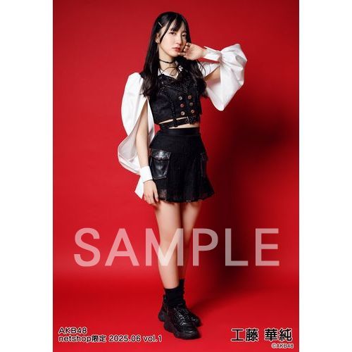 予約商品】AKB48 2025年6月度 net shop限定個別生写真5枚セットvol.1