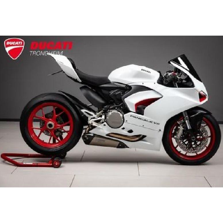 イタリア在庫あり ドゥカティ PanigaleV2 チタン製レーシング
