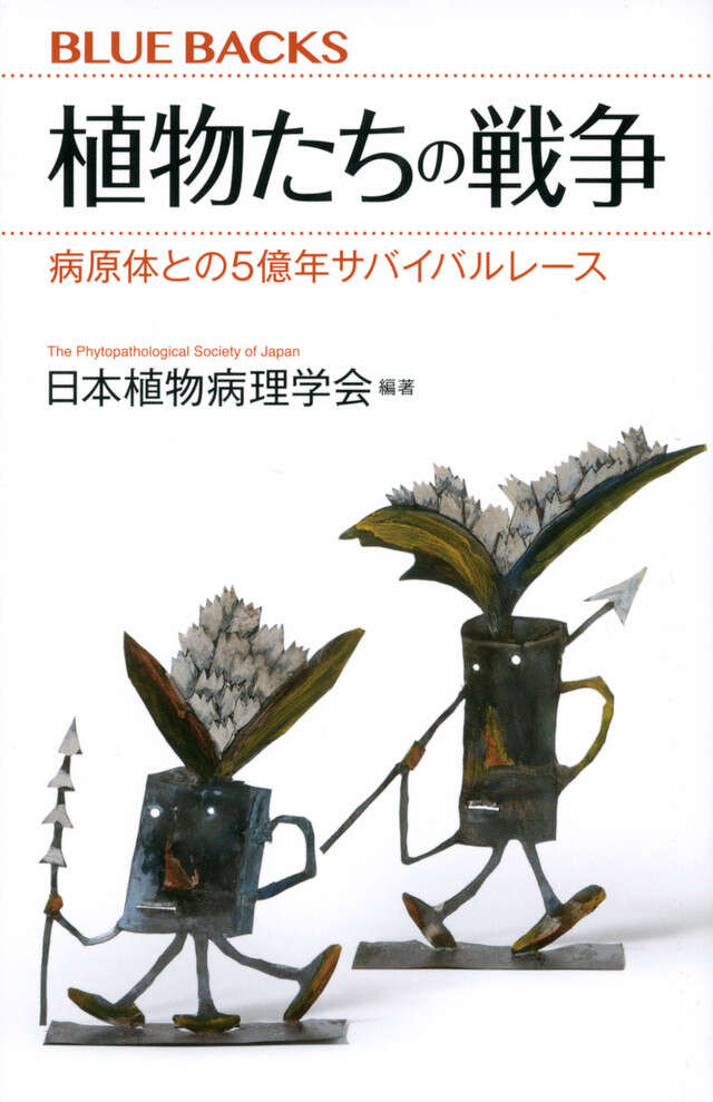 テイツ／ザイガー 植物生理学・発生学 原著第6版』（リンカーン