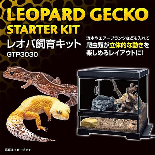 ジェックス レオパ飼育キット GTP3030 爬虫類 ヒョウモントカゲモドキ